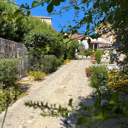 Sa Domu De Don Ninnu Gesturi